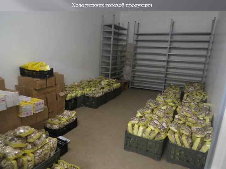 Холодильник готовой продукции 