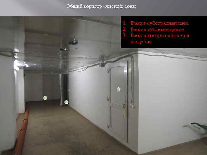 Общий коридор «чистой» зоны 1. Вход в субстратный цех 2. Вход в тех. помещение