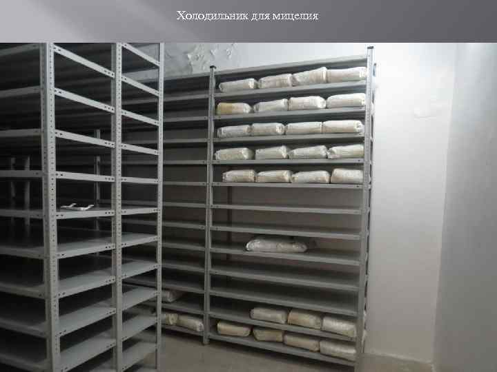 Холодильник для мицелия 