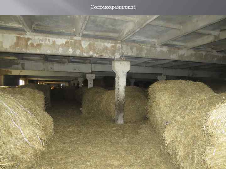 Соломохранилище 