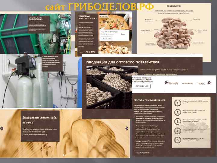 сайт ГРИБОДЕЛОВ. РФ 