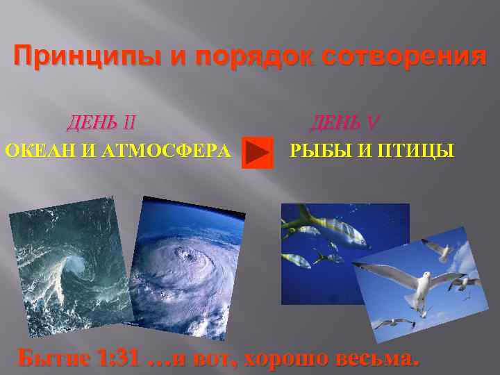 Принципы и порядок сотворения ДЕНЬ II ОКЕАН И АТМОСФЕРА ДЕНЬ V РЫБЫ И ПТИЦЫ