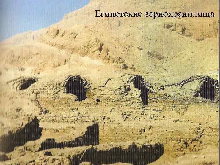 Египетские зернохранилища 