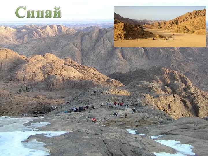 Синай 