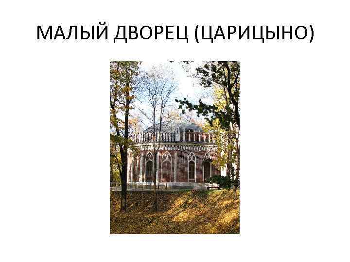 МАЛЫЙ ДВОРЕЦ (ЦАРИЦЫНО) 
