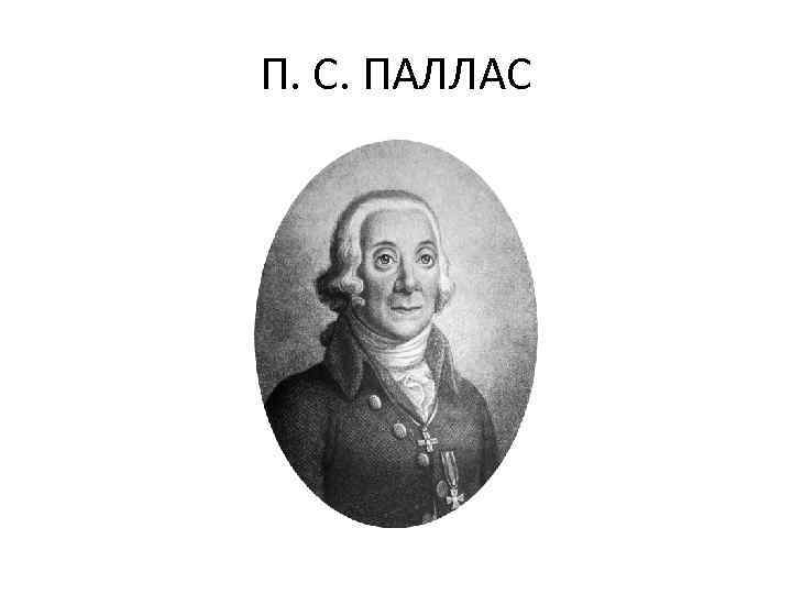 П. С. ПАЛЛАС 