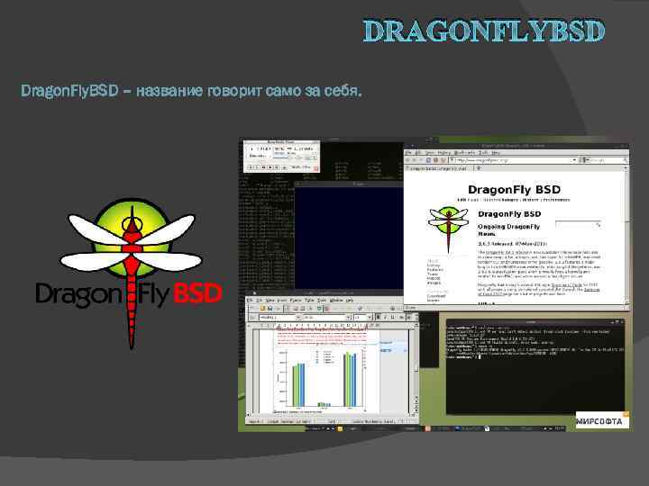 DRAGONFLYBSD Dragon. Fly. BSD – название говорит само за себя. 