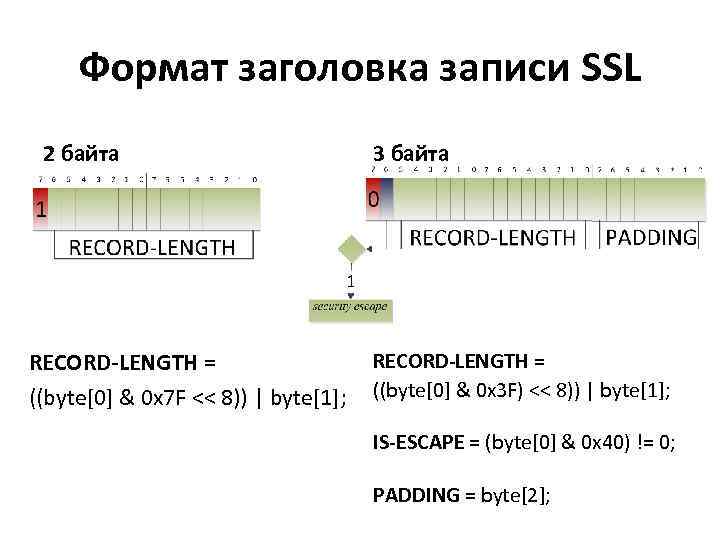 Формат заголовка записи SSL 2 байта RECORD-LENGTH = ((byte[0] & 0 x 7 F