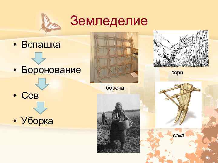 Земледелие • Вспашка • Боронование • Сев серп борона • Уборка соха 
