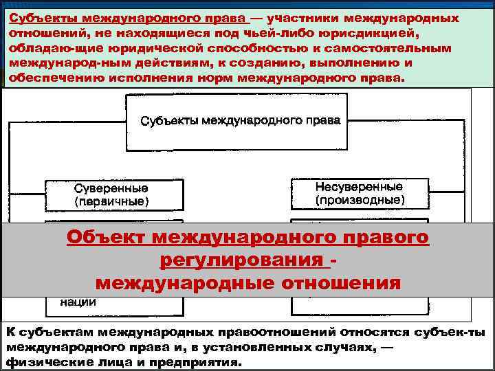 Международное право образование