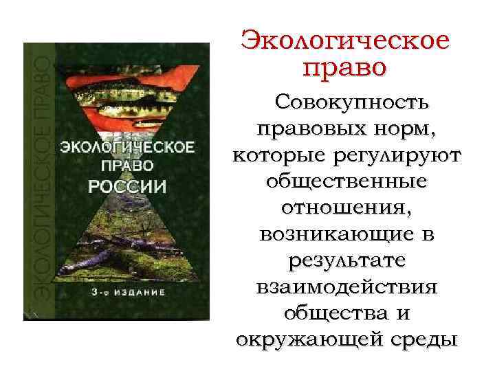 Экологическое право Совокупность правовых норм, которые регулируют общественные отношения, возникающие в результате взаимодействия общества