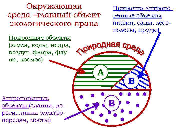 Окружающая среда –главный объект экологического права Природно-антропогенные объекты (парки, сады, лесополосы, пруды) Природные объекты