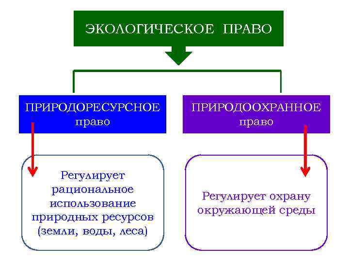 ЭКОЛОГИЧЕСКОЕ ПРАВО ПРИРОДОРЕСУРСНОЕ право ПРИРОДООХРАННОЕ право Регулирует рациональное использование природных ресурсов (земли, воды, леса)