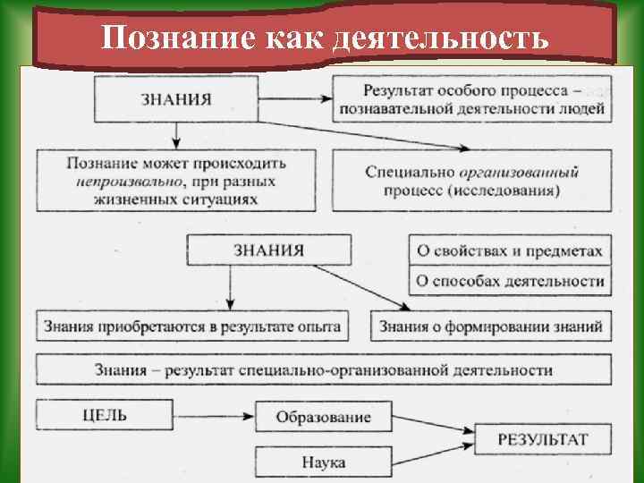 Познание как деятельность 