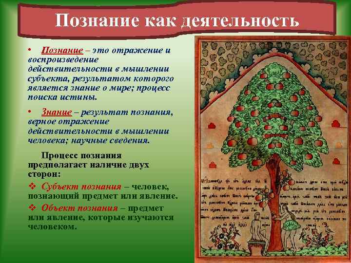 Познание как деятельность • Познание – это отражение и воспроизведение действительности в мышлении субъекта,