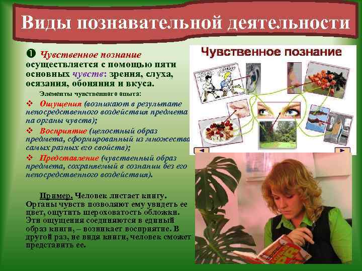 Виды познавательной деятельности Чувственное познание осуществляется с помощью пяти основных чувств: зрения, слуха, осязания,