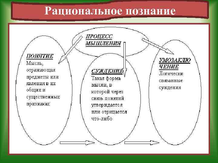 Рациональное познание 