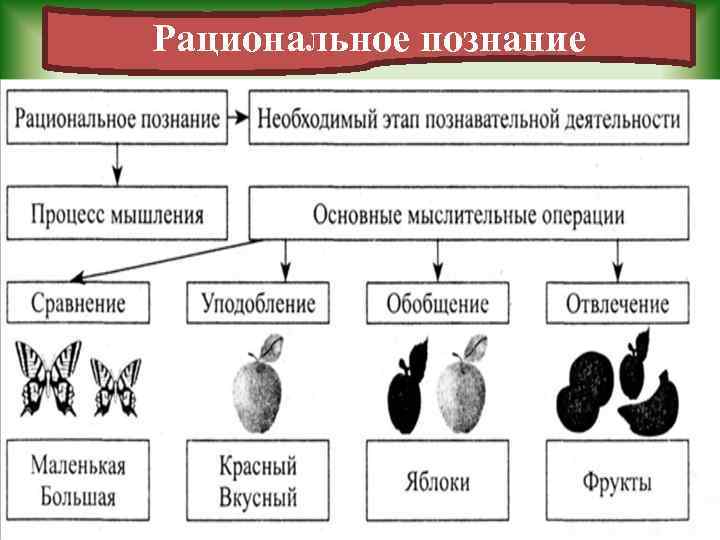Рациональное познание 