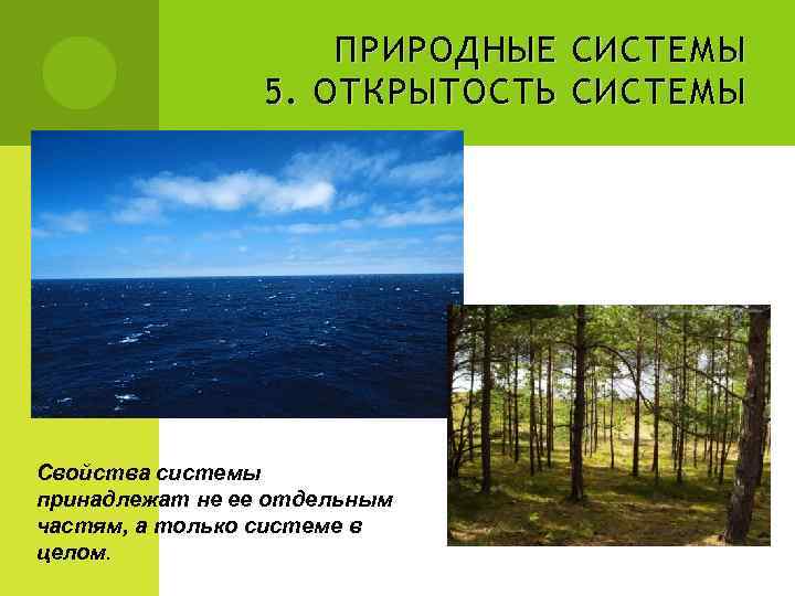 ПРИРОДНЫЕ СИСТЕМЫ 5. ОТКРЫТОСТЬ СИСТЕМЫ Свойства системы принадлежат не ее отдельным частям, а только