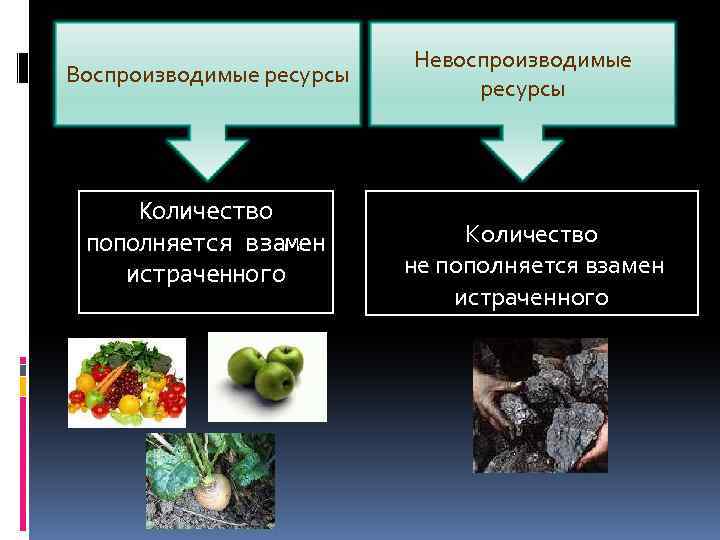 Воспроизводимые ресурсы Количество пополняется взамен истраченного Невоспроизводимые ресурсы Количество не пополняется взамен истраченного 