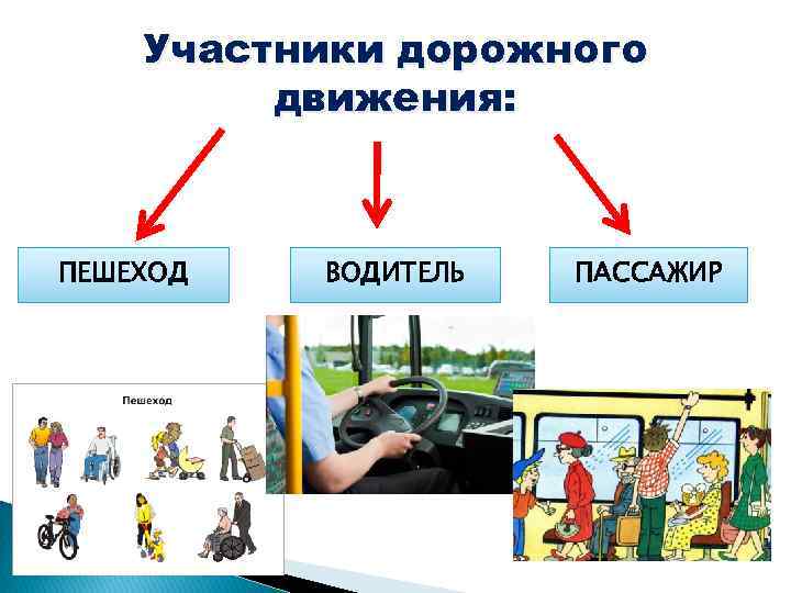 Картинки на тему участники дорожного движения