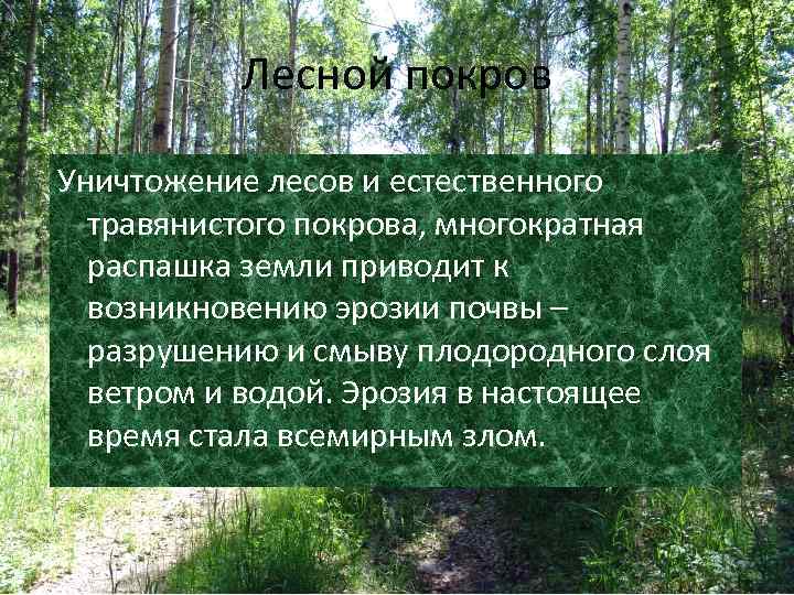 Лесной покров Уничтожение лесов и естественного травянистого покрова, многократная распашка земли приводит к возникновению