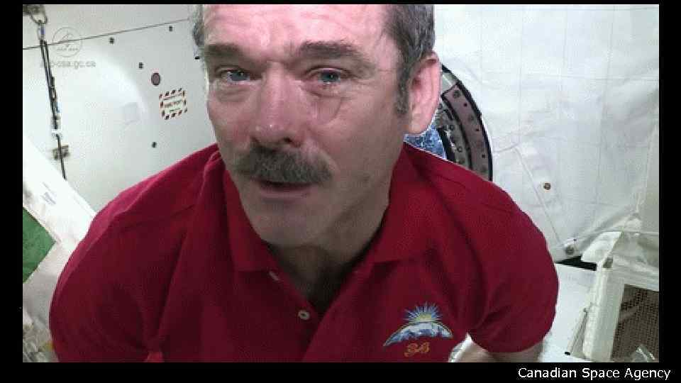 Canadian Space Agency 