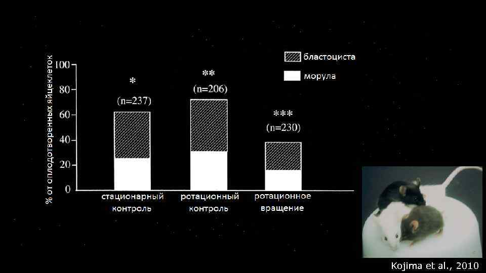Kojima et al. , 2010 