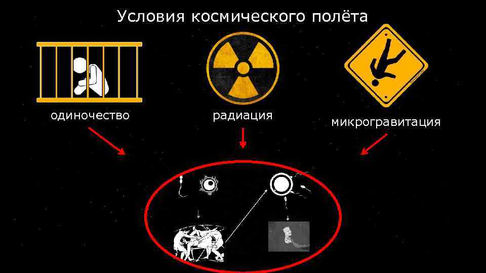 Условия космического полёта одиночество радиация микрогравитация 