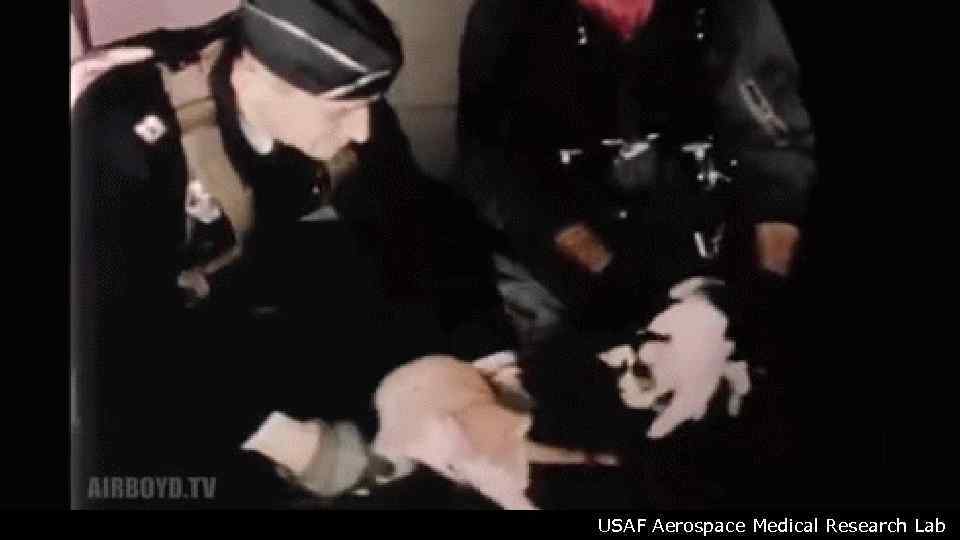 USAF Aerospace Medical Research Lab 