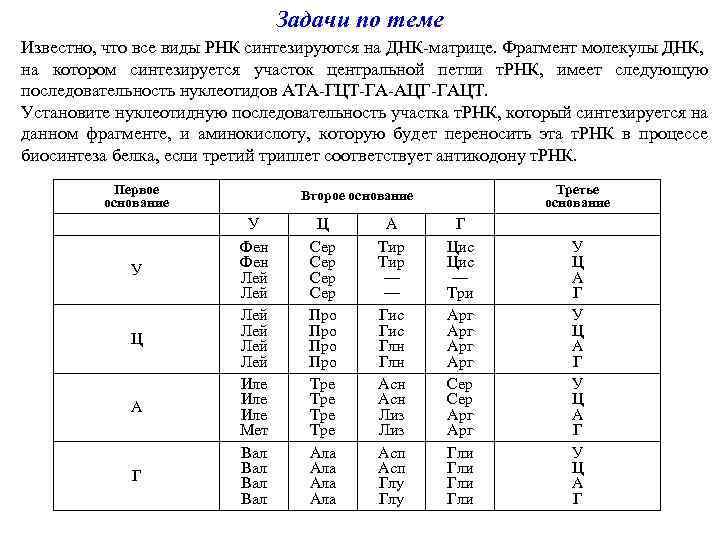 Последовательность нуклеотидов участка молекулы днк. Известно что все виды РНК синтезируются на ДНК матрице. Известно что все виды РНК. Установите нуклеотидную последовательность участка ТРНК. Ищвестнт что все виды РНК синтезируются на ДНК матрице.