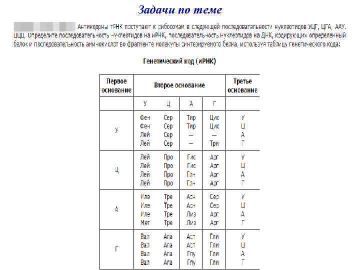 Задачи по теме 