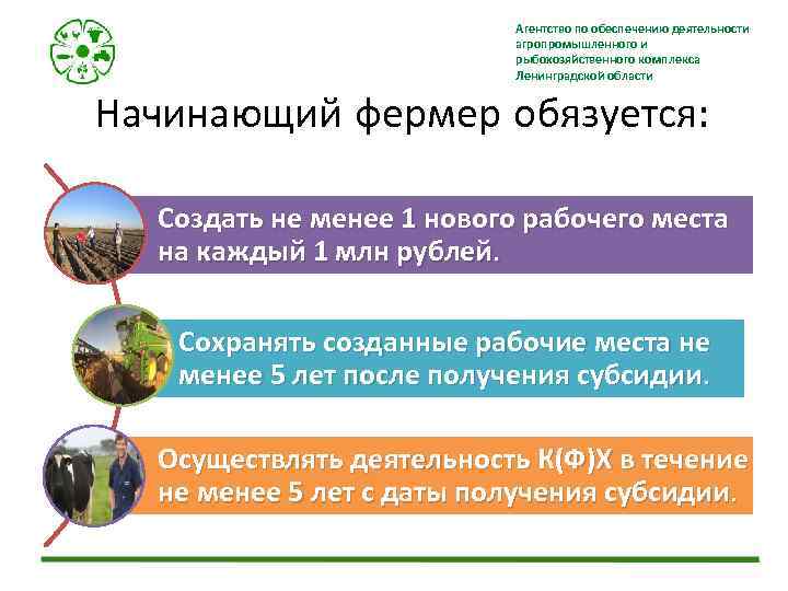 Агентство по обеспечению деятельности агропромышленного и рыбохозяйственного комплекса Ленинградской области Начинающий фермер обязуется: Создать