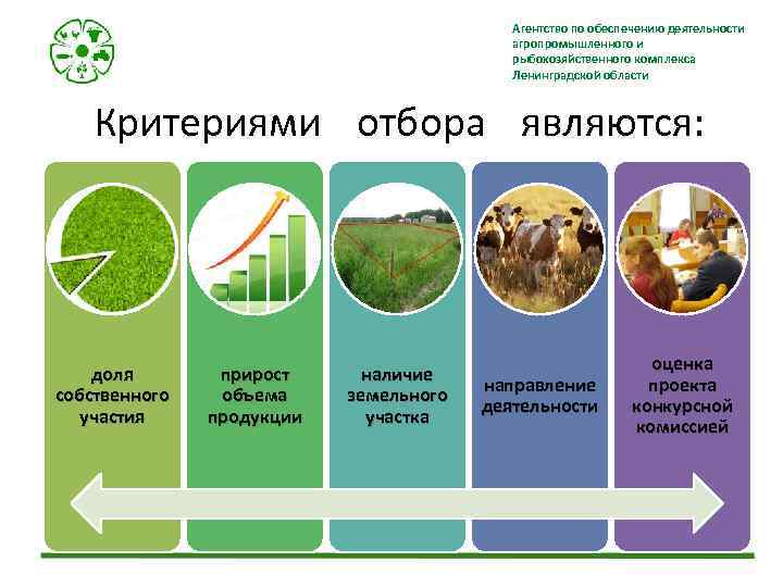 Агентство по обеспечению деятельности агропромышленного и рыбохозяйственного комплекса Ленинградской области Критериями отбора являются: доля