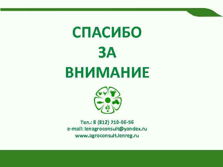 СПАСИБО ЗА ВНИМАНИЕ Тел. : 8 (812) 710 -06 -56 e-mail: lenagroconsult@yandex. ru www.