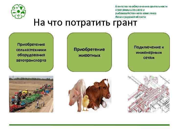 Агентство по обеспечению деятельности агропромышленного и рыбохозяйственного комплекса Ленинградской области На что потратить грант
