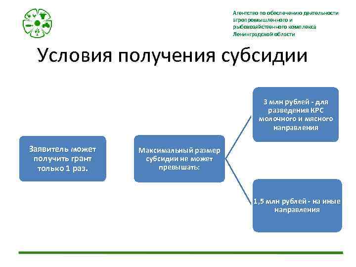 Агентство по обеспечению деятельности агропромышленного и рыбохозяйственного комплекса Ленинградской области Условия получения субсидии 3