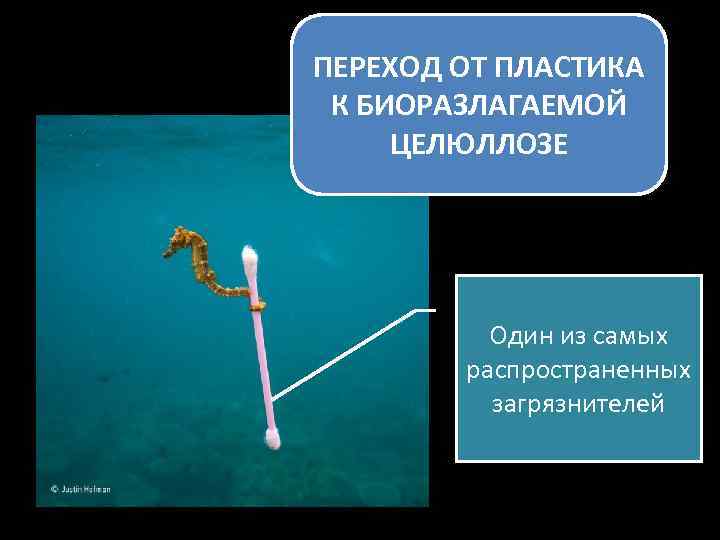 ПЕРЕХОД ОТ ПЛАСТИКА К БИОРАЗЛАГАЕМОЙ ЦЕЛЮЛЛОЗЕ Один из самых распространенных загрязнителей 