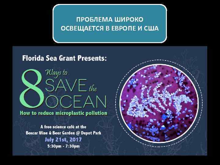 ПРОБЛЕМА ШИРОКО ОСВЕЩАЕТСЯ В ЕВРОПЕ И США 