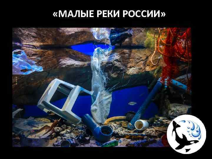  «МАЛЫЕ РЕКИ РОССИИ» 