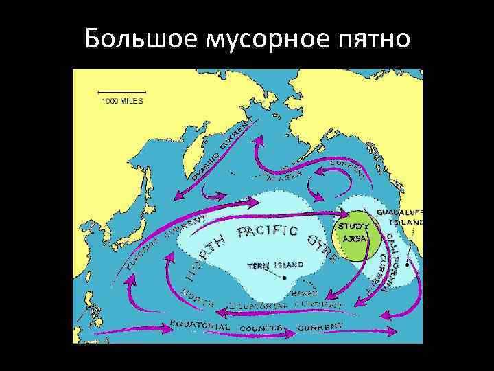 Большое мусорное пятно 