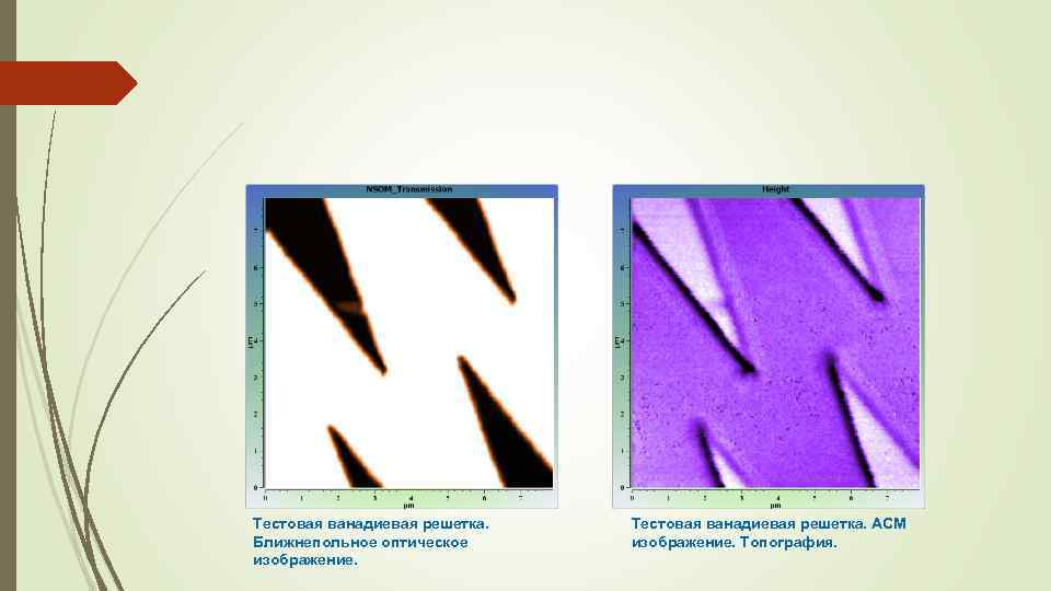 Тестовая ванадиевая решетка. Ближнепольное оптическое изображение. Тестовая ванадиевая решетка. АСМ изображение. Топография. 