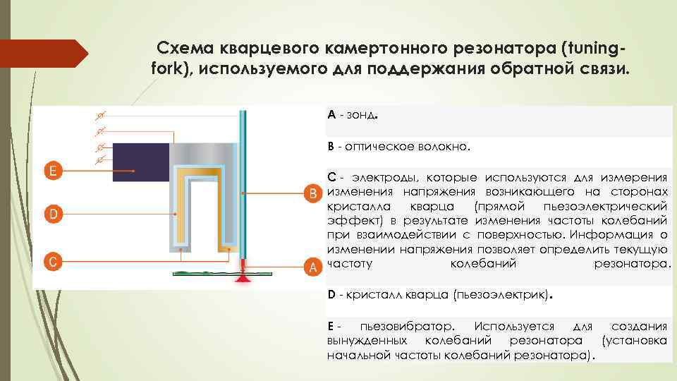 Схема кварцевого камертонного резонатора (tuningfork), используемого для поддержания обратной связи. A - зонд. B