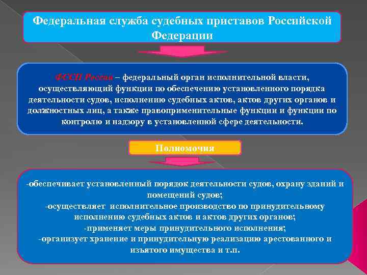 Кто осуществляет руководство деятельностью фтс россии