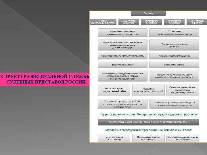 СТРУКТУРА ФЕДЕРАЛЬНОЙ СЛУЖБЫ СУДЕБНЫХ ПРИСТАВОВ РОССИИ. 