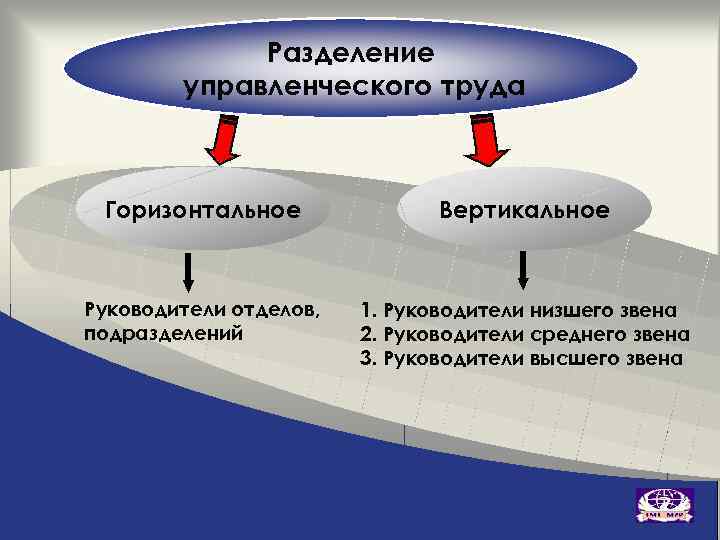 Схема разделения управленческих функций между руководством и отдельными подразделениями