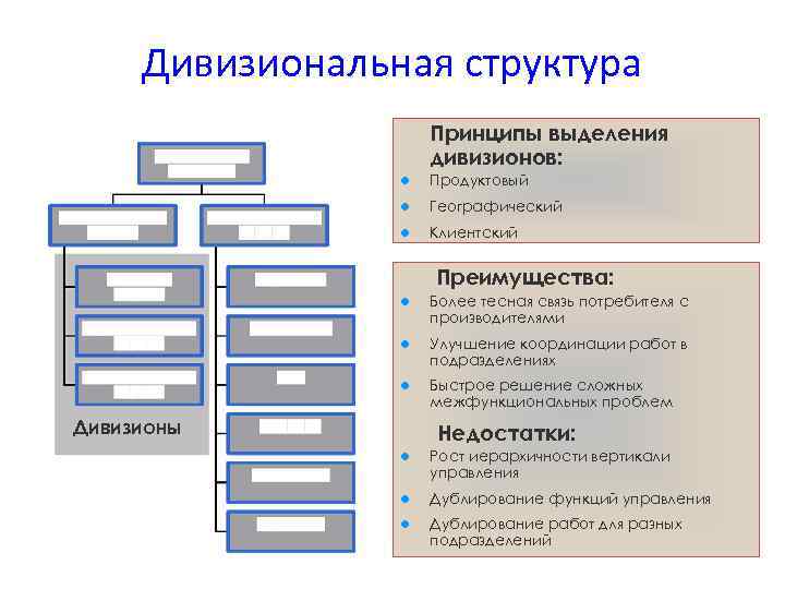 Дивизиональная структура Принципы выделения дивизионов: l Продуктовый l Географический l Клиентский Преимущества: l Более