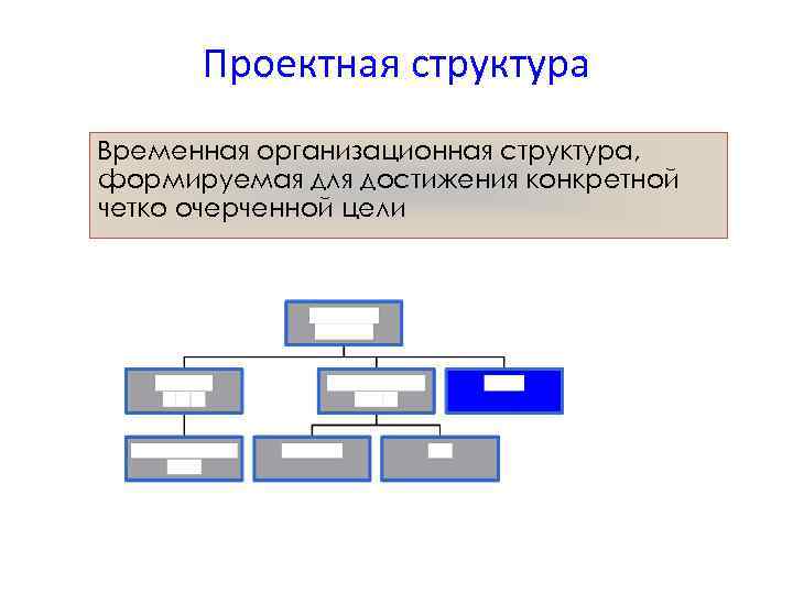 Проектная структура Временная организационная структура, формируемая для достижения конкретной четко очерченной цели 