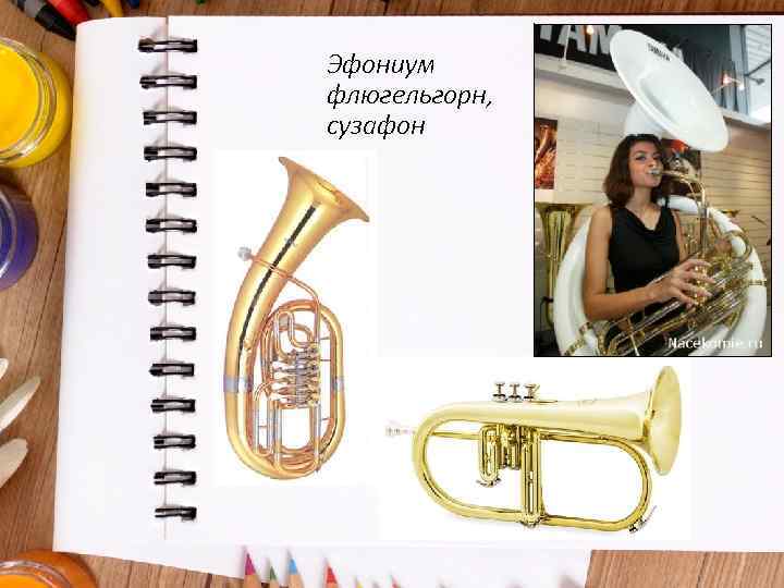 Эфониум флюгельгорн, сузафон 