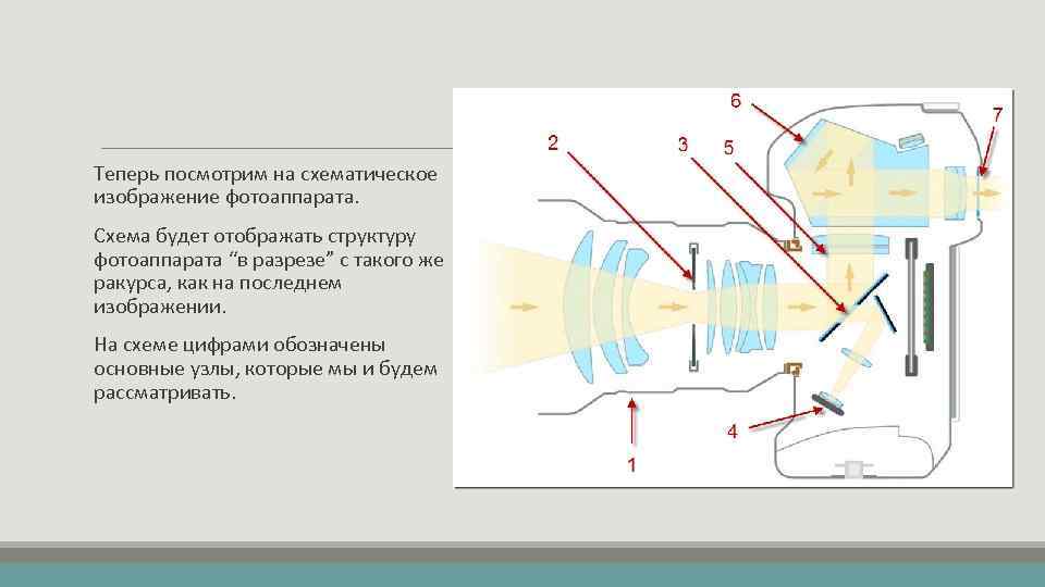 Теперь посмотрим на схематическое изображение фотоаппарата. Схема будет отображать структуру фотоаппарата “в разрезе” с
